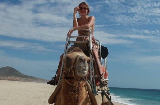 Camel Adventure on the Beach - The Sum Up