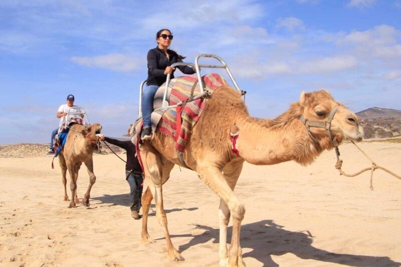 Camel Desert Ride Experience in Cabo - Final Thoughts