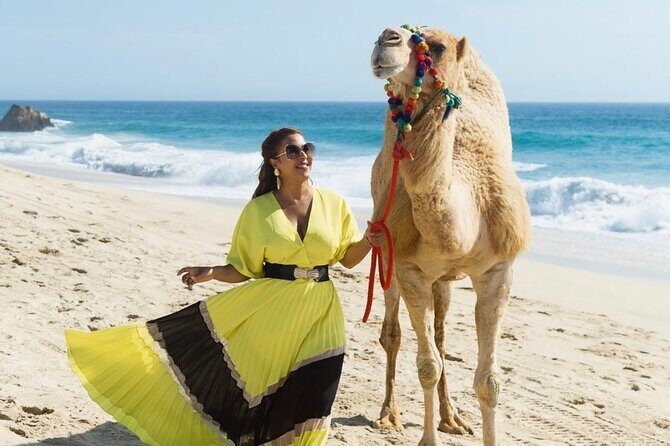 Camel Encounter and Safari Ride. Includes lunch & alcohol tasting - Key Points