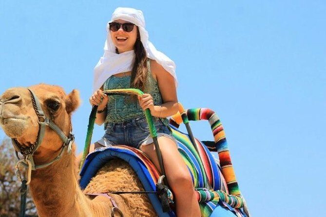 Camel Encounter and Safari Ride. Includes lunch & alcohol tasting - What It’s Like to Take This Tour