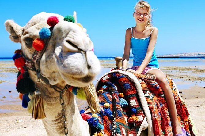 Camel Encounter and Safari Ride. Includes lunch & alcohol tasting - Final Thoughts