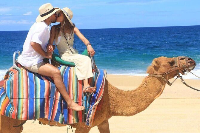 Camel Encounter and Safari Ride. Includes lunch & alcohol tasting - FAQs