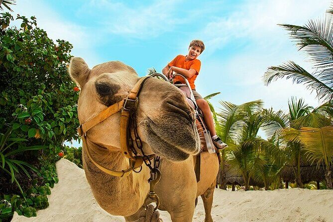 Camel Expedition and Beach Club In Riviera Maya - FAQs