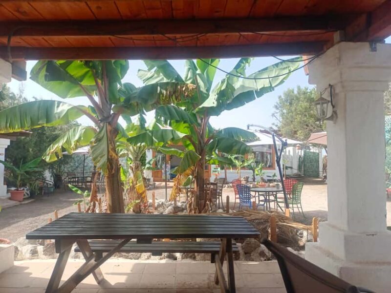 Camel Experience - Final Thoughts: Who Is This For?