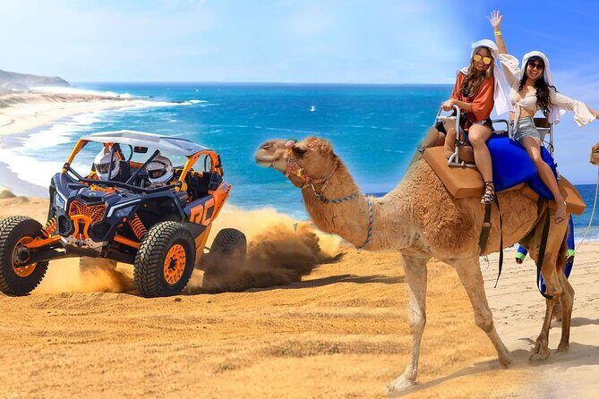 Camel Ride and UTV Combo Adventure, with Tequila Tasting - Key Points