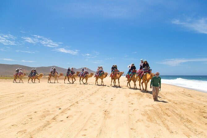 Camel Ride & ATV Combo in Migriño, Mexico - The Real Experience: Pros and Cons