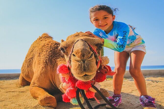 Camel Ride & ATV Combo in Migriño, Mexico - FAQ