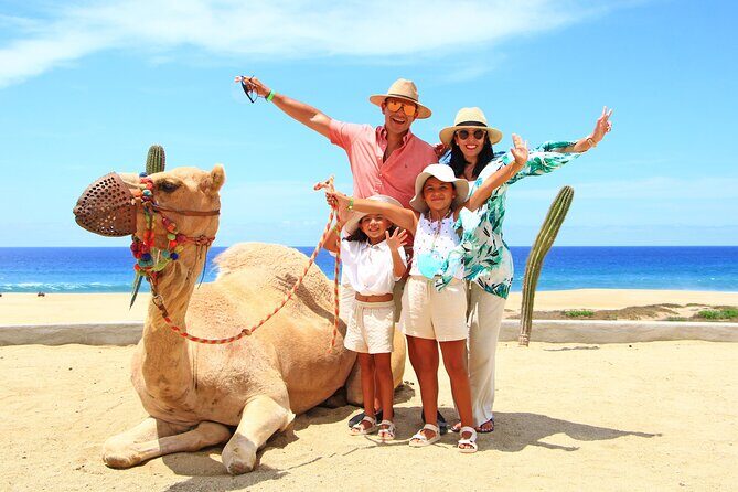 Camel Ride Experience in Los Cabos with Pick up and Lunch - A Closer Look at the Camel Ride Experience
