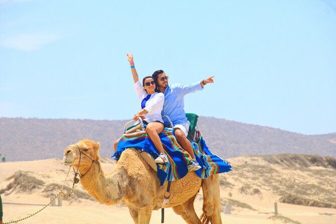 Camel riding experience on the shores of the Pacific Ocean - Key Points