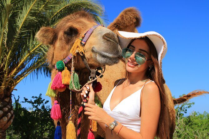 Camel riding experience on the shores of the Pacific Ocean - What to Expect from the Camel Riding Tour