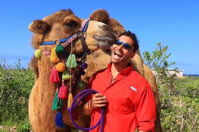 Camel riding experience on the shores of the Pacific Ocean - Final Thoughts
