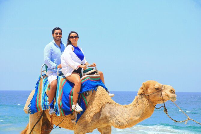 Camel riding experience on the shores of the Pacific Ocean - FAQ
