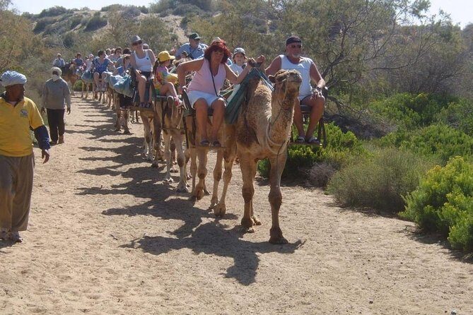 Camel Riding in Maspalomas Dunes - Final Thoughts