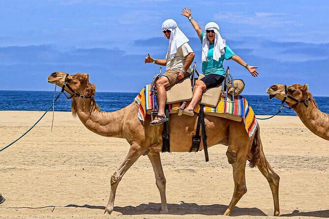 Camel Safari and Gastronomic Experience in Los Cabos - What’s the Experience Like in Practice?