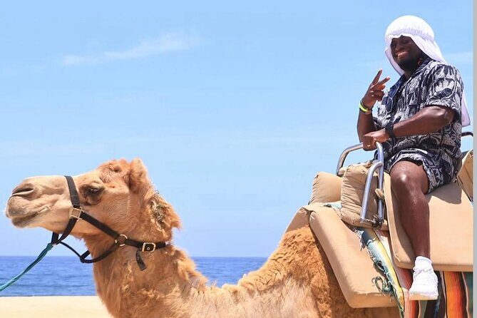 Camel Safari and Gastronomic Experience in Los Cabos - Final Thoughts: Is This Tour Right for You?