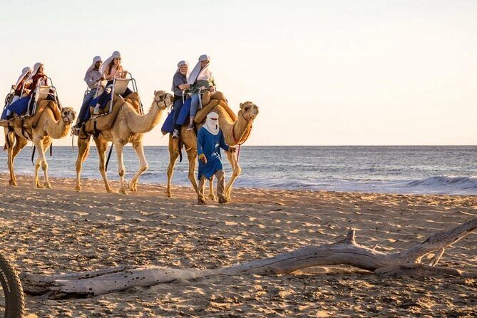 Camel Safari and Gastronomic Experience in Los Cabos - FAQ