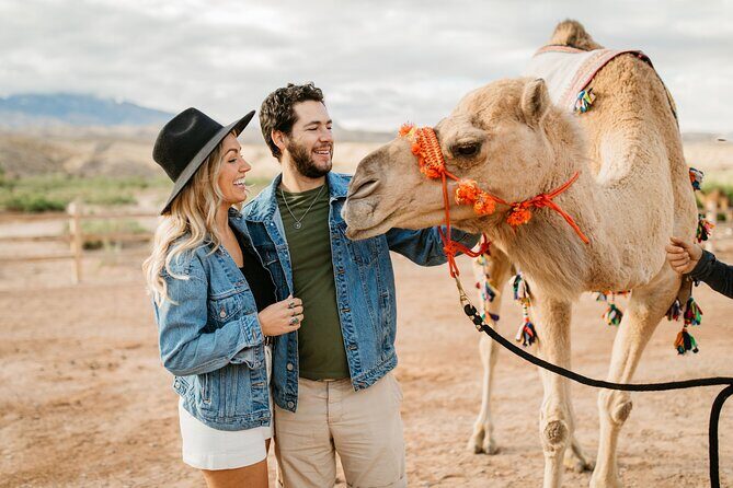 Camel Safari - Camel Ride and Zoo Tour - What’s Good and What’s Not