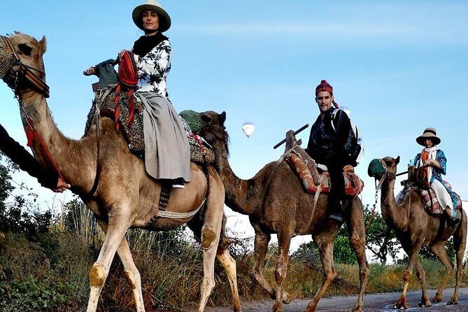 Camel Safari in Cappadocia - Overview of the Camel Safari Experience