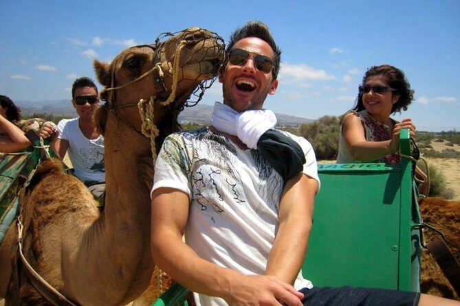 Camel Safari through the Dunes of Maspalomas - What to Expect from the Camel Safari