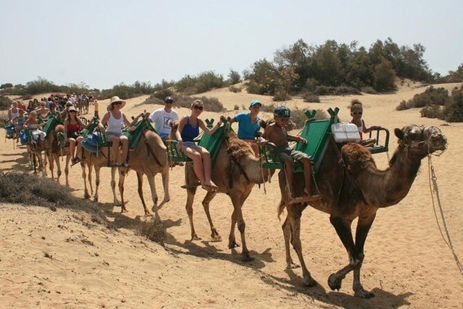Camel Safari through the Dunes of Maspalomas - FAQ