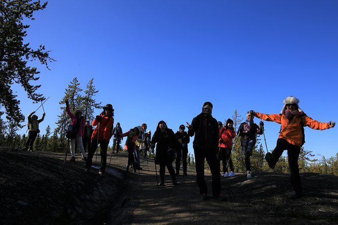 Cameron Falls Hiking Tour - What to Expect on the Cameron Falls Hiking Tour