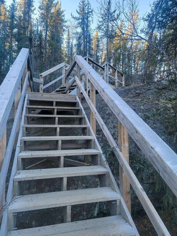 Cameron Falls Waterfall Tour - Pricing and Value