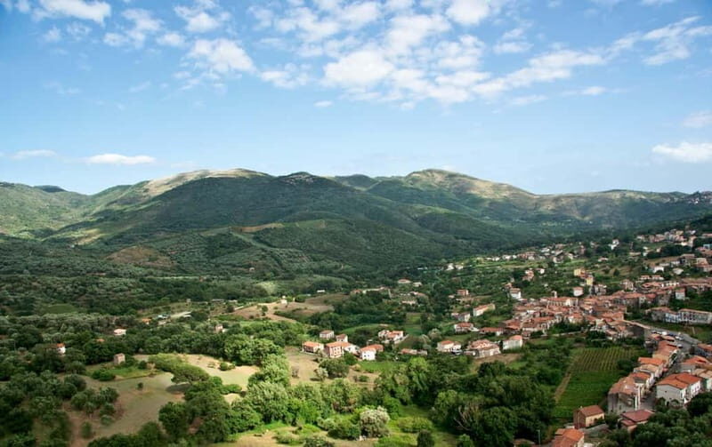 Camerota: Guided wine tasting - Price and Value