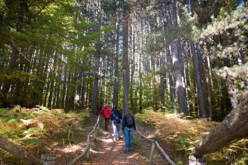 Camigliatello: Tour to the Giants Reserve & Wine Tasting - Key Points