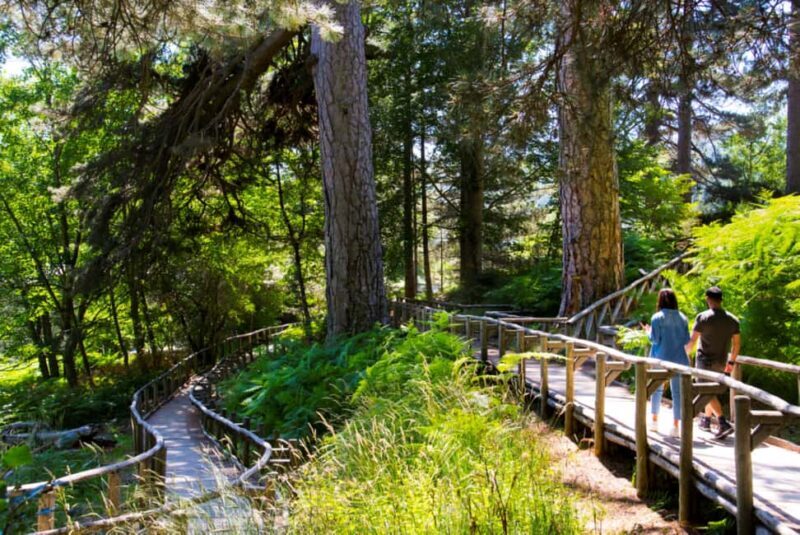 Camigliatello: Tour to the Giants Reserve & Wine Tasting - Moving on to Europe’s Highest Vineyard