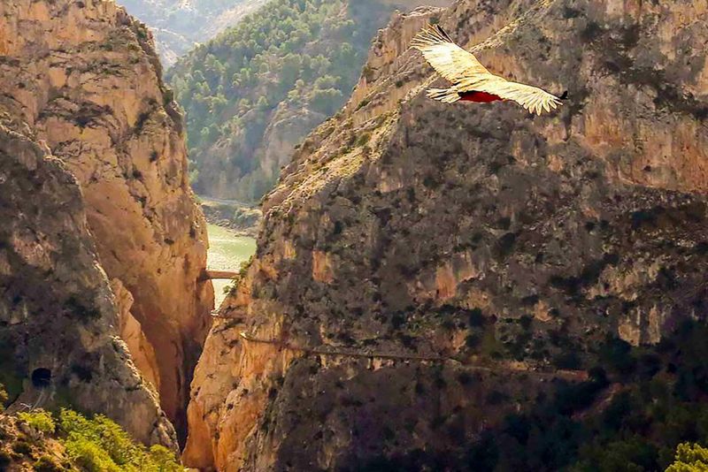 Caminito del Rey: Entry Ticket - Key Points Before You Go