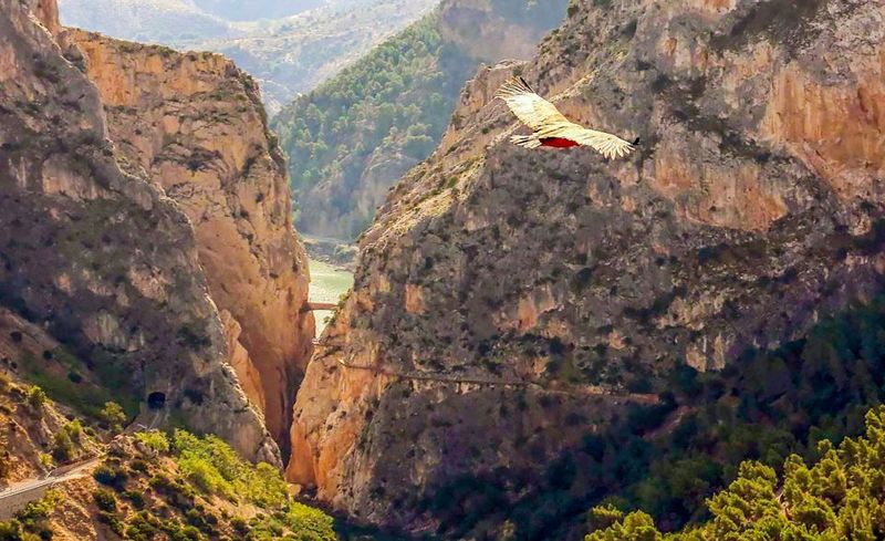 Caminito del Rey: Guided Tour and Entry Ticket - The trail itself: cliffs, the narrowest moment, and river views