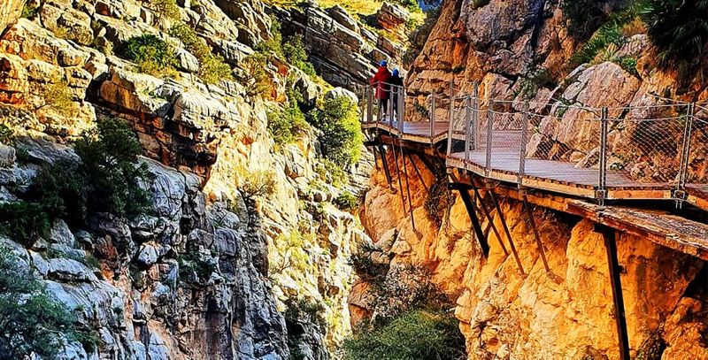 Caminito del Rey: Tour with Official Guide and Drink - Pace, comfort, and photo time: what you’ll likely feel