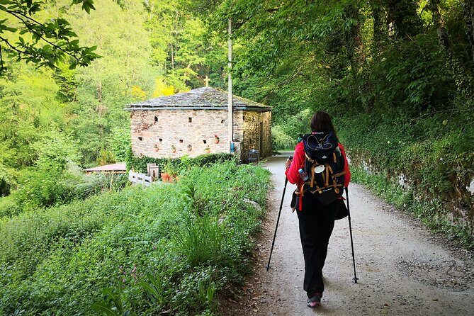 Camino de Santiago French from Sarria to Santiago de Compostela - An Honest Breakdown of the Camino Tour Experience