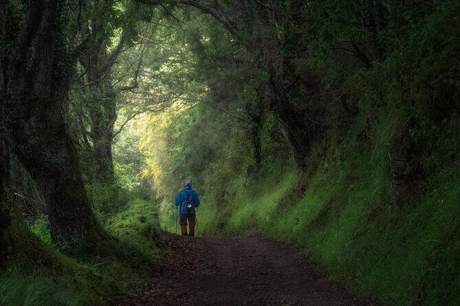 Camino de Santiago Portuguese from Tui to Santiago de Compostela - What the Tour Offers