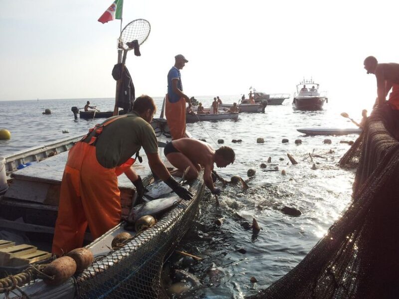 Camogli: Boat Tour on the trail of the Tonnarella - Who Is This Tour Best Suited For?