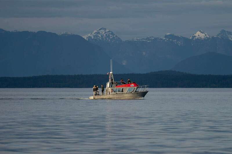 Campbell River: 6-Hour Whale Watching Boat Tour - Final Thoughts