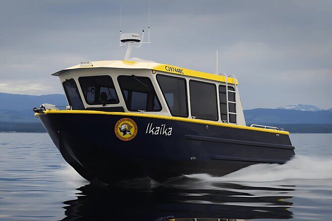 Campbell River, BC: Full Day Grizzly Bear Tour in Toba Inlet - Analyzing the Price and Whats Included