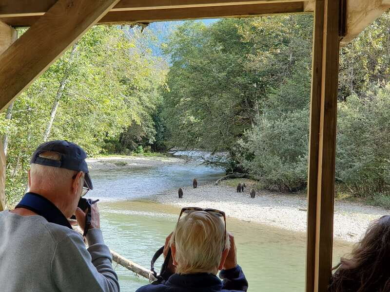 Campbell River: Grizzly Bear-Watching Tour with Lunch - What the Tour Offers: A Deep Dive