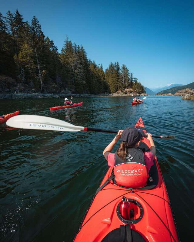 Campbell River: Kayaking and Whale Watching Tour - Key Points