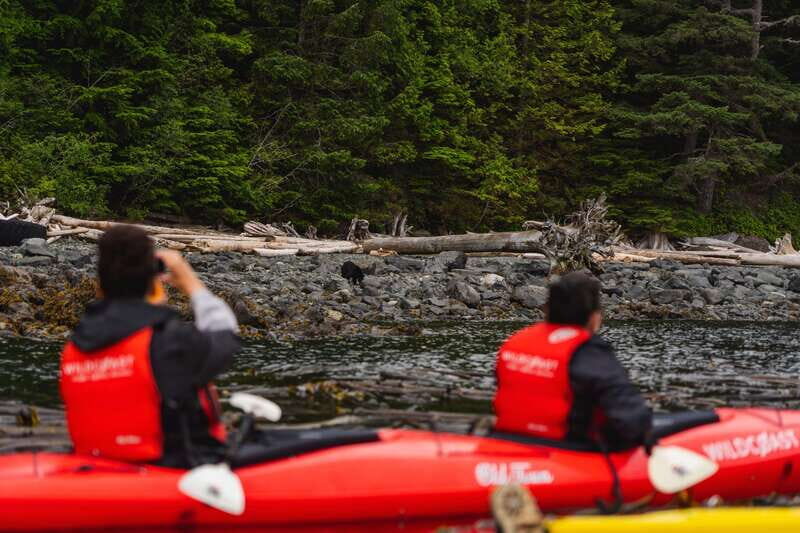 Campbell River: Kayaking and Whale Watching Tour - Frequently Asked Questions