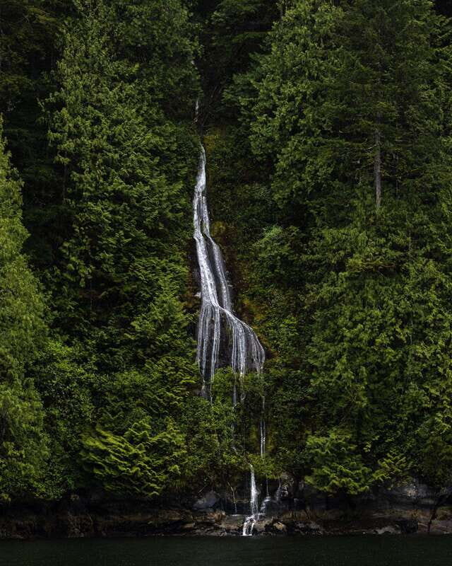 Campbell River: Spring Bear Watching & Waterfalls Boat Tour - Key Points