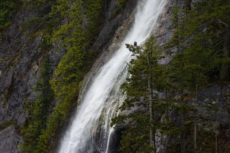 Campbell River: Spring Bear Watching & Waterfalls Boat Tour - Final Thoughts