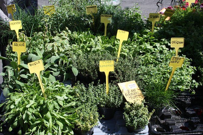 Campo dei Fiori Market and Trevi Fountain District Food & Wine Tour in Rome - Who Is This Tour Best For?