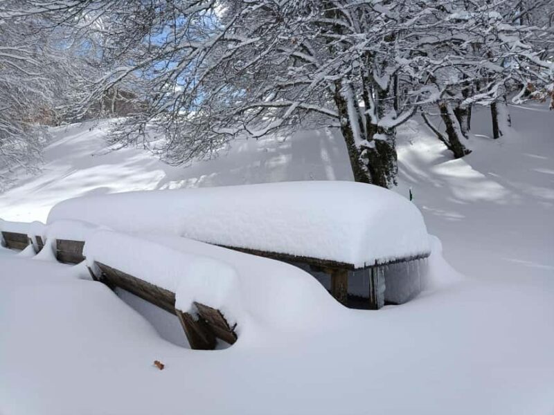 Campo Felice: Snowshoeing Tour with Guide - Key Points