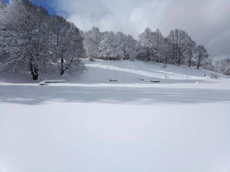Campo Felice: Snowshoeing Tour with Guide - What Is This Snowshoeing Tour Really Like?