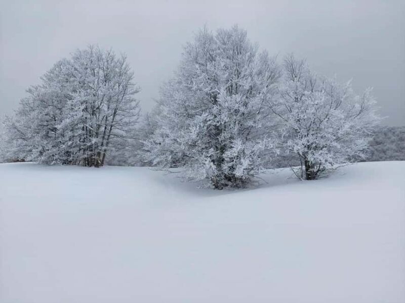 Campo Felice: Snowshoeing Tour with Guide - Who Is This Tour Best For?