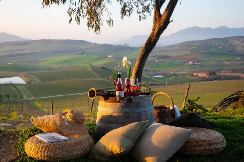 Camporeale: Sallier de La Tour Wine Discovery Tour - Key Points