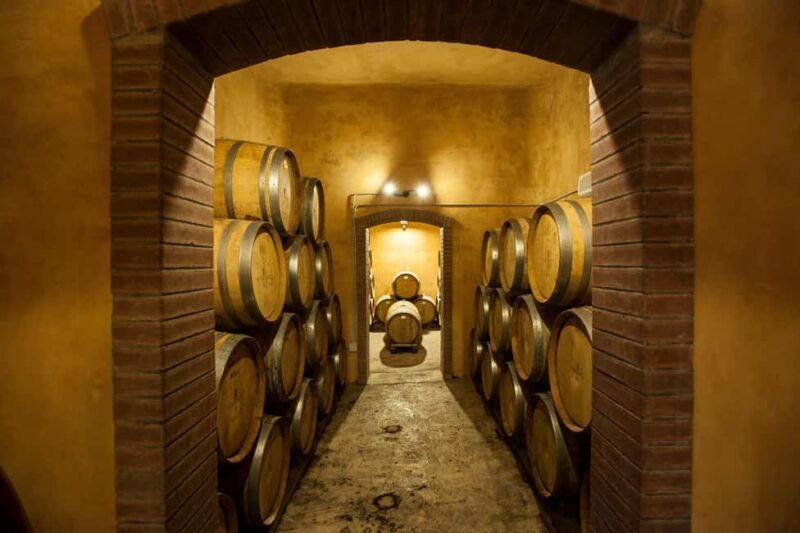 Camporeale: Sallier de La Tour Wine Discovery Tour - The Wine Tasting Experience