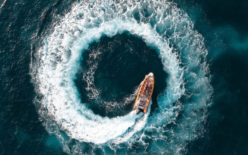 Can Picafort: Dolphin Watching Boat Tour, Swimming stop - Key Points