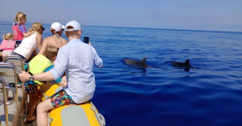 Can Picafort: Dolphin Watching Boat Tour, Swimming stop - Setting the Scene: What You Can Expect